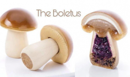 小蘑菇视频,探秘奇妙菌类世界的奇幻之旅