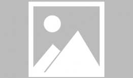 午夜动漫在线观看,在线观看的奇幻之旅